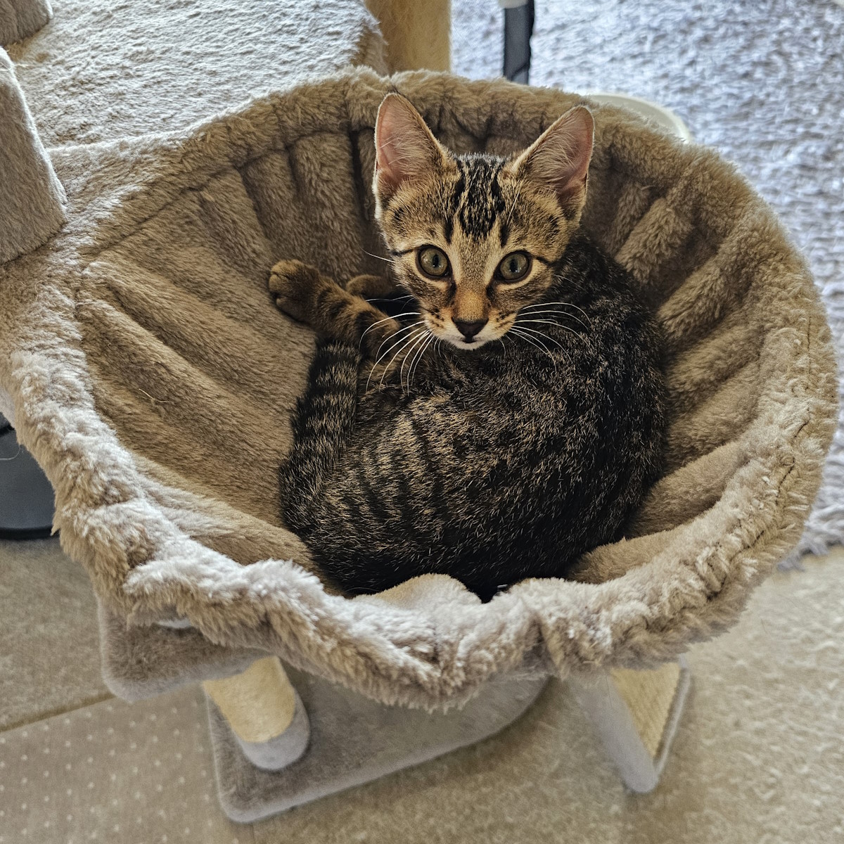 Ronaldo (named for his football skills)